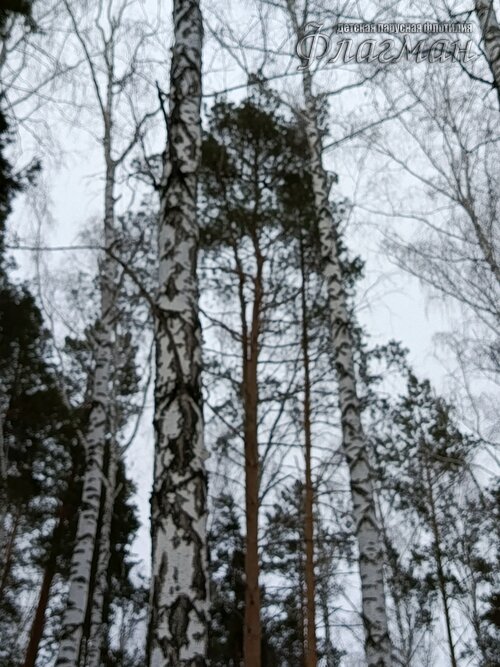 2026-02-13_12-39-49_Tug_IMG_346